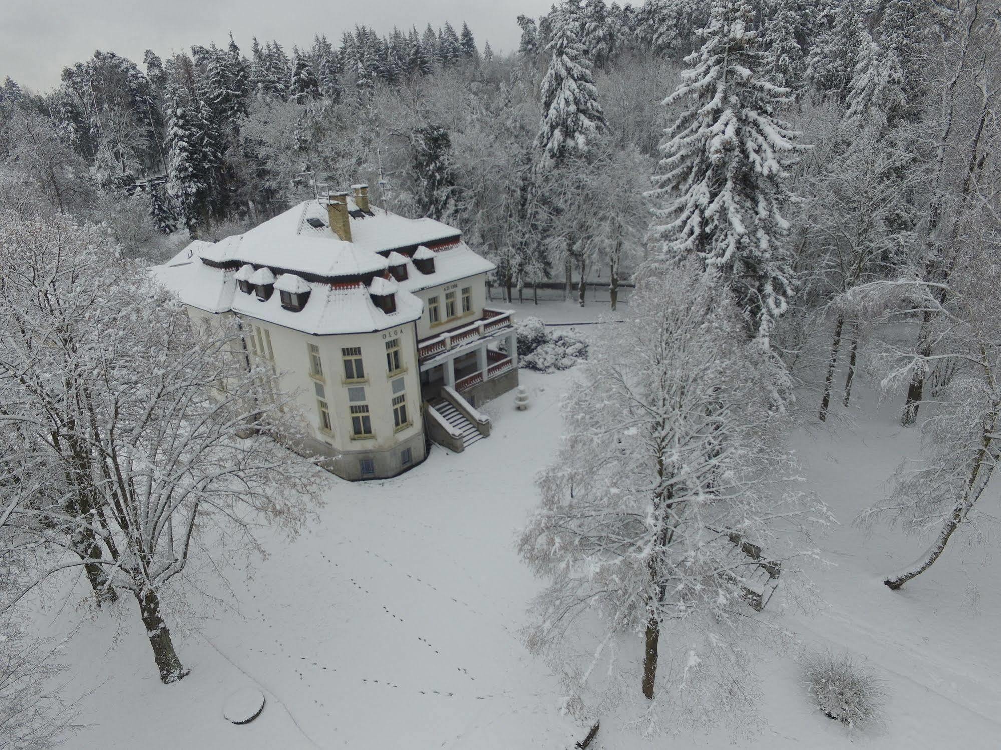 Vila Olga Jevany Zewnętrze zdjęcie